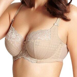 Panache Envy Full Cup Underwire Bra 40K Chai 7285 NWT